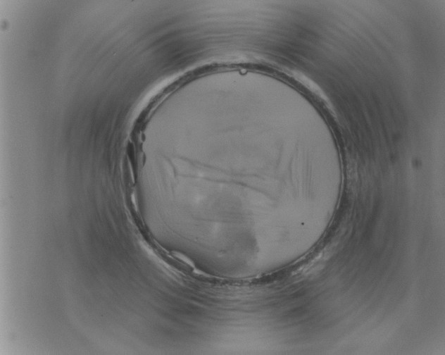 X0000075900935200610151812