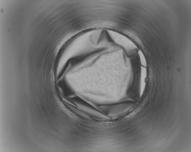 X0000075900936200610151812