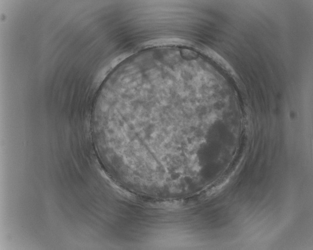 X0000075900937200610151812