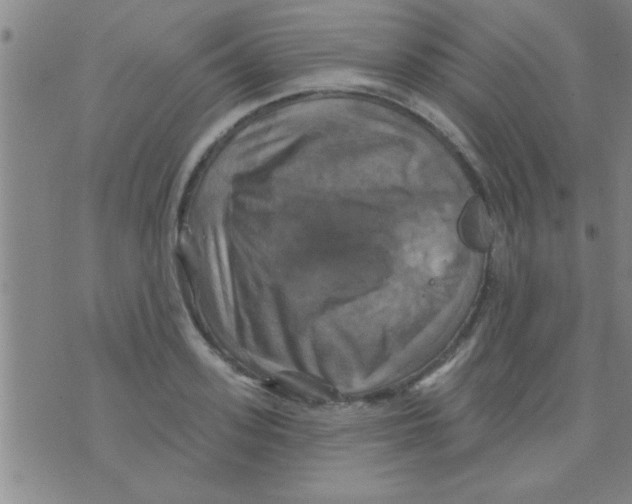 X0000075900939200610151812