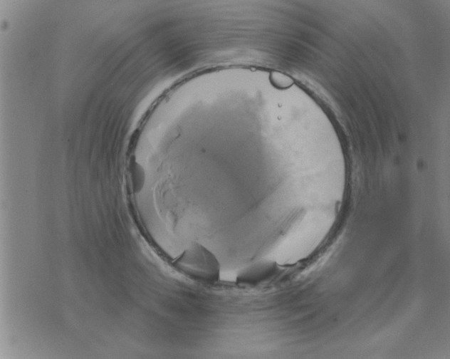 X0000075900941200610151813