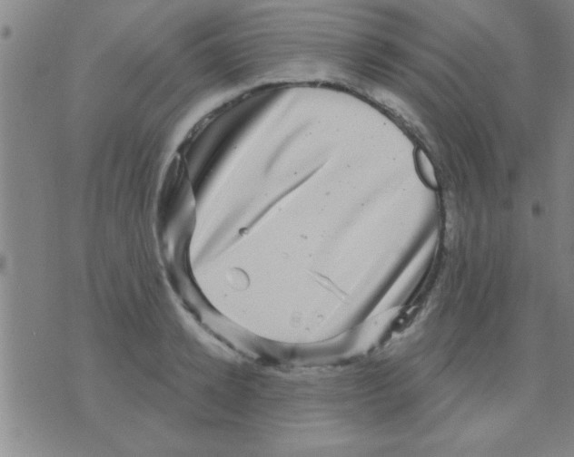 X0000075900942200610151813