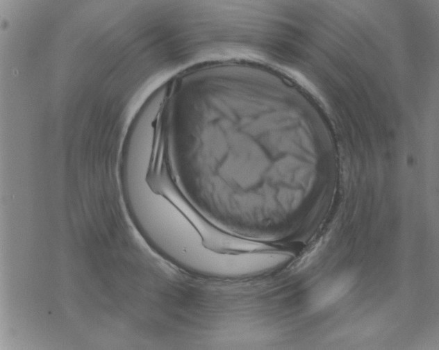 X0000075900943200610151813