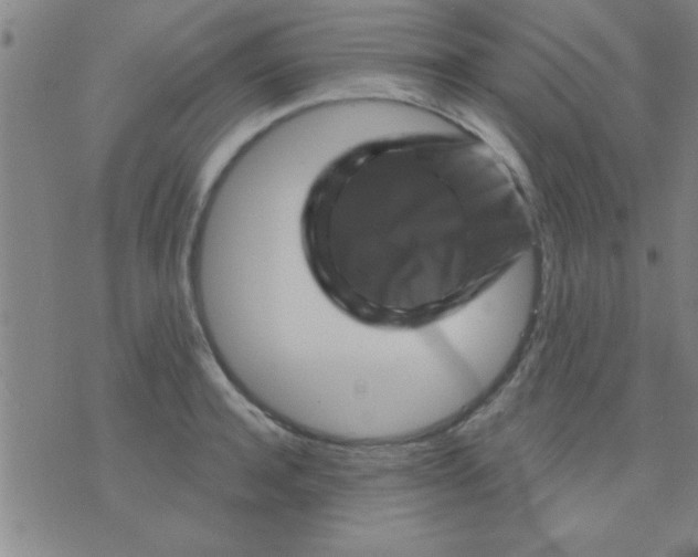 X0000075900944200610151813