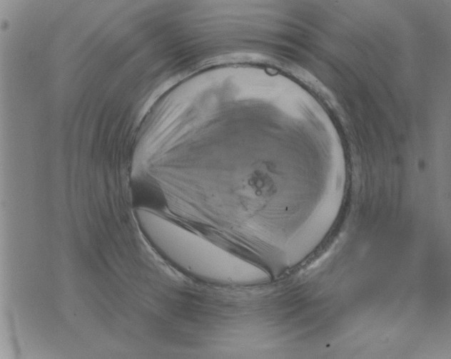 X0000075900945200610151813