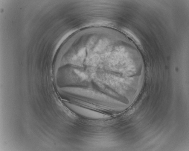 X0000075900948200610151813