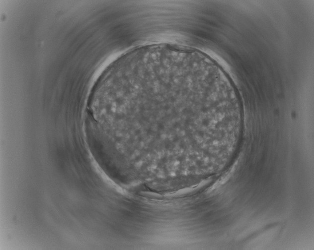 X0000075900949200610151813