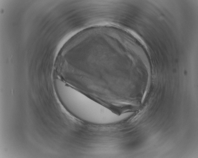 X0000075900951200610151813