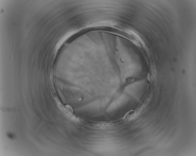 X0000075900952200610151813