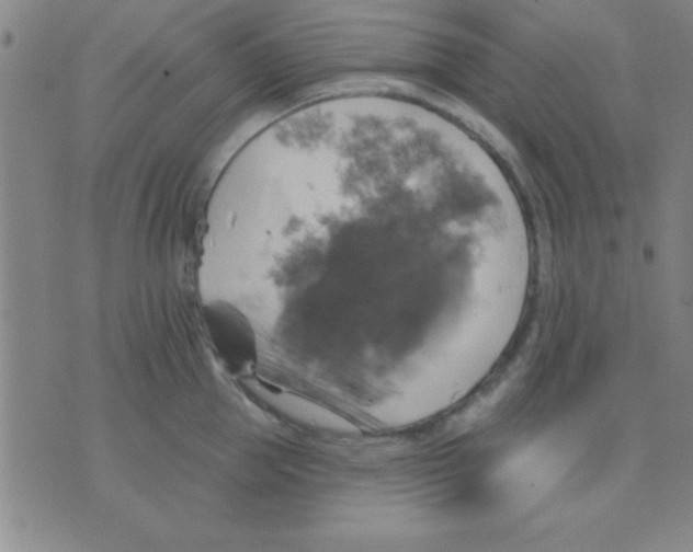 X0000075900953200610151813