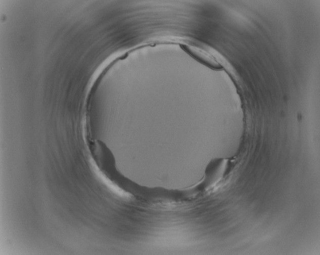 X0000075900955200610151813