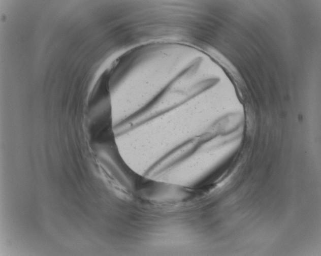 X0000075900956200610151813