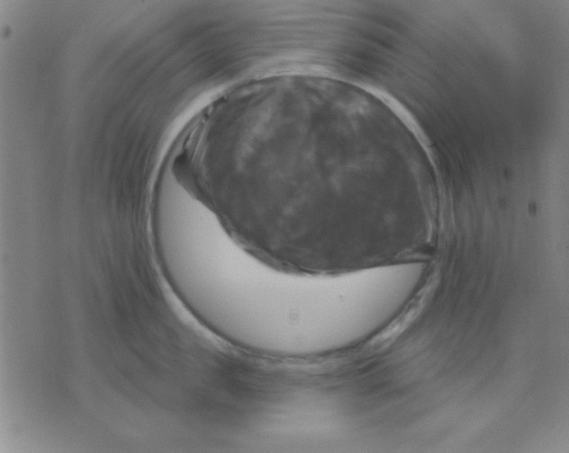 X0000075900957200610151813