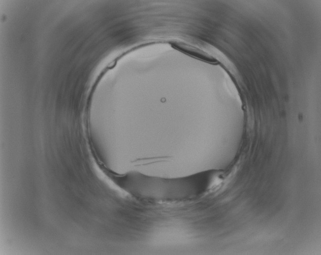 X0000075900958200610151813