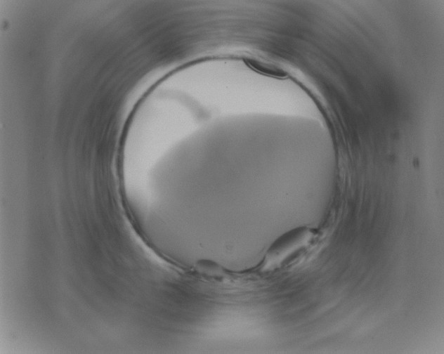 X0000075900959200610151813