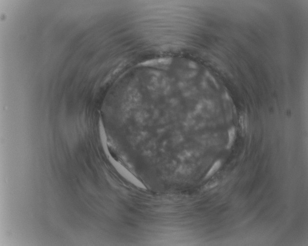 X0000075900963200610151812