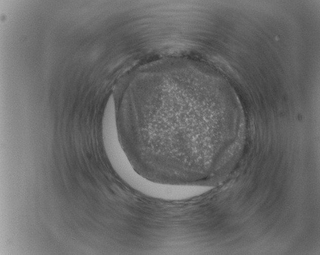 X0000075900964200610151812