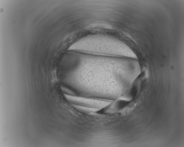 X0000075900965200610151812