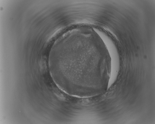 X0000075900968200610151812