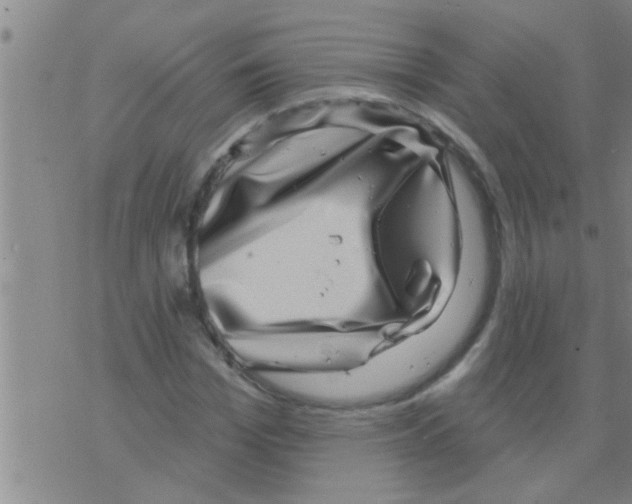 X0000075900969200610151812