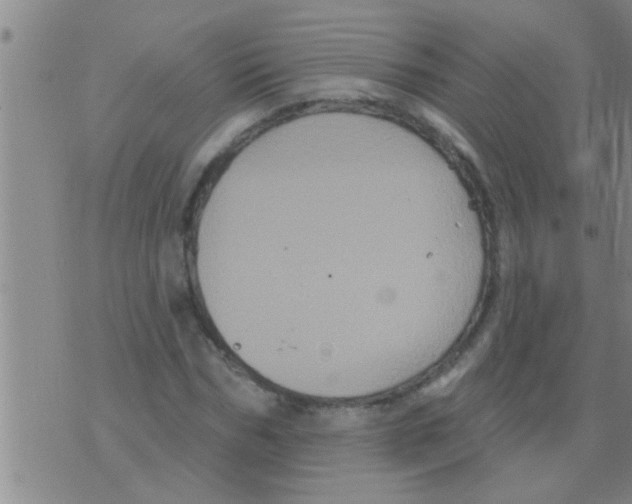 X0000075900970200610151812