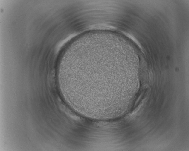 X0000075900971200610151812