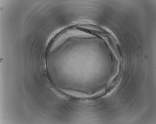 X0000075900973200610151812