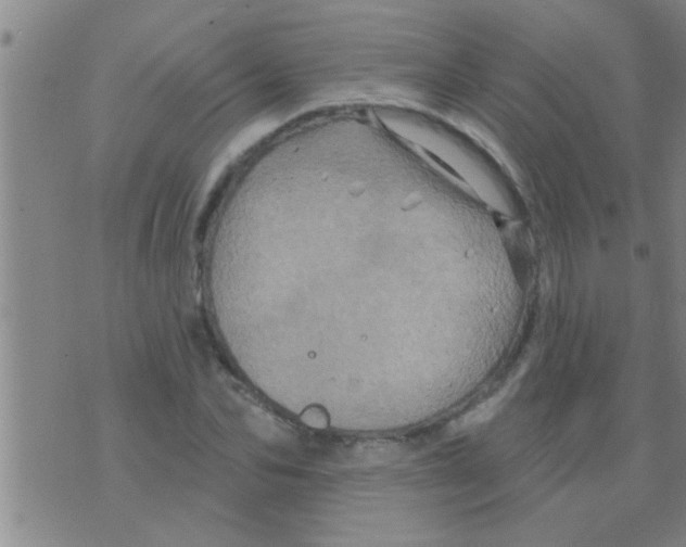 X0000075900974200610151812