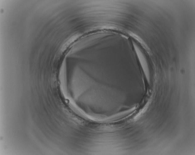 X0000075900977200610151812