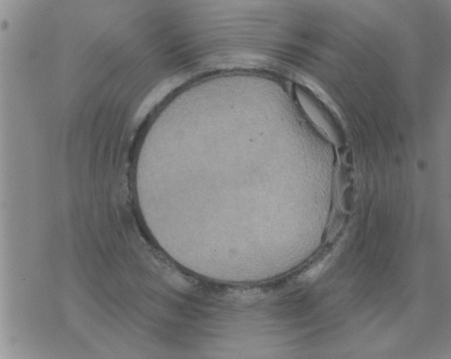 X0000075900978200610151812