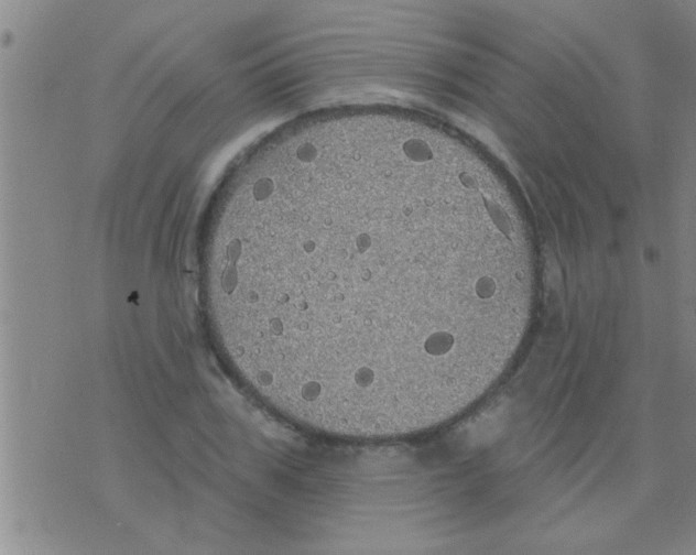 X0000075900979200610151812