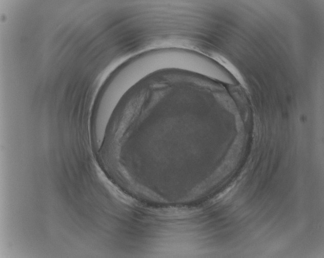 X0000075900980200610151812