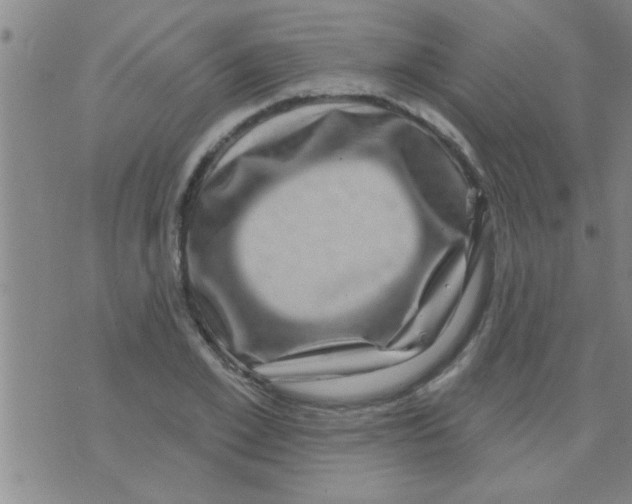 X0000075900981200610151812