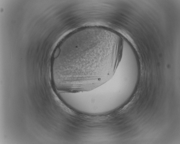 X0000075900984200610151812