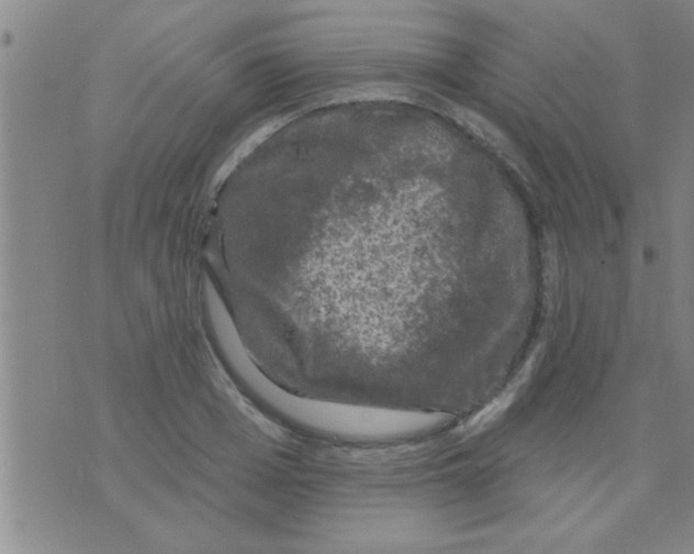 X0000075900985200610151812