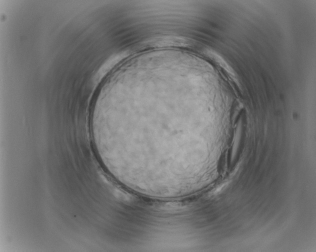 X0000075900986200610151812