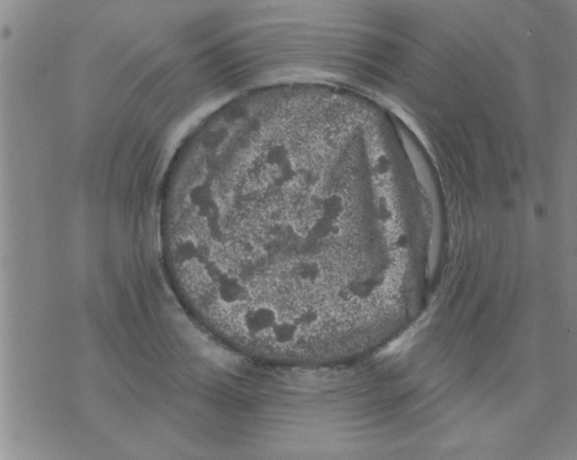 X0000075900987200610151812