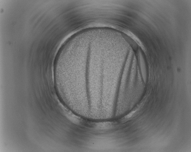 X0000075900988200610151812