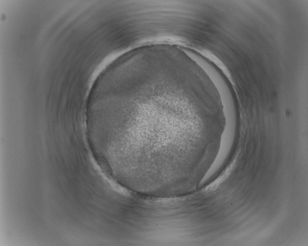 X0000075900989200610151812