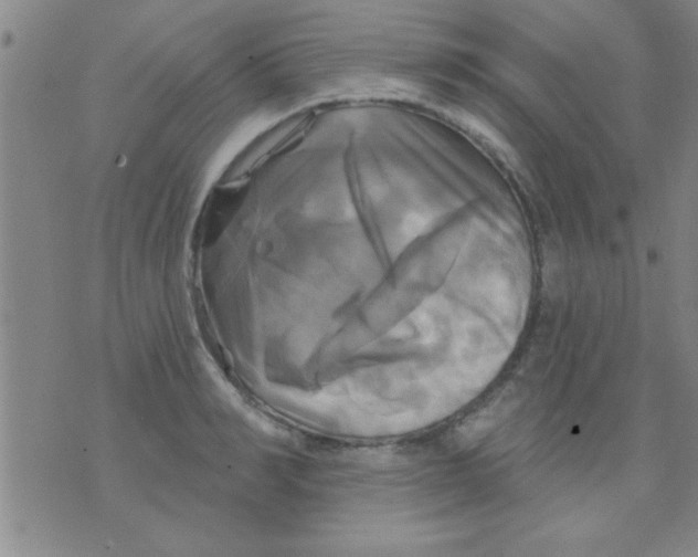 X0000075900990200610151812