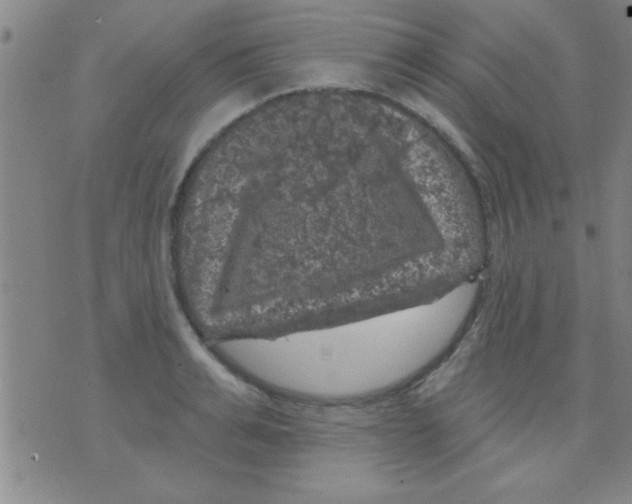 X0000075900991200610151812