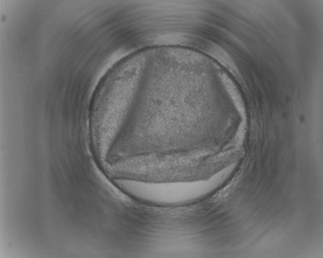 X0000075900992200610151812