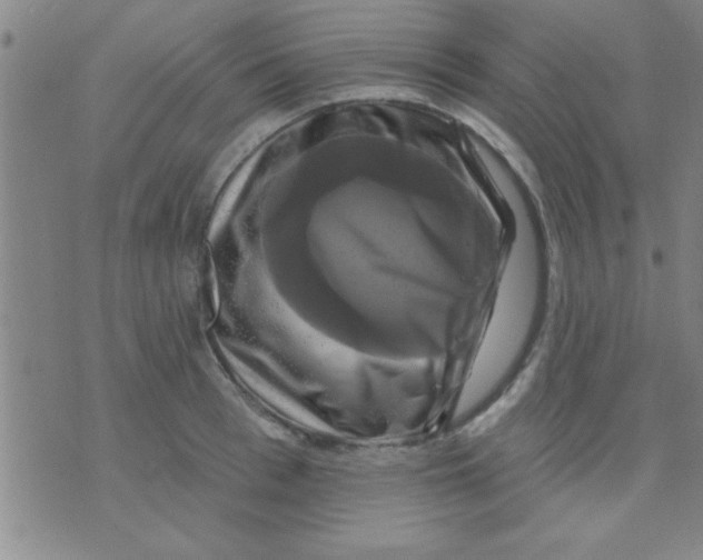 X0000075900993200610151812