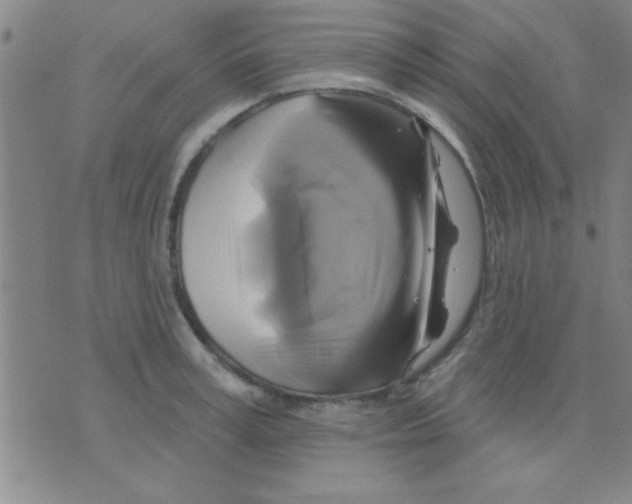 X0000075900995200610151811