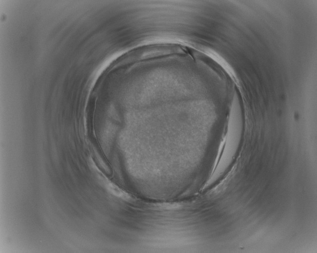 X0000075900996200610151811