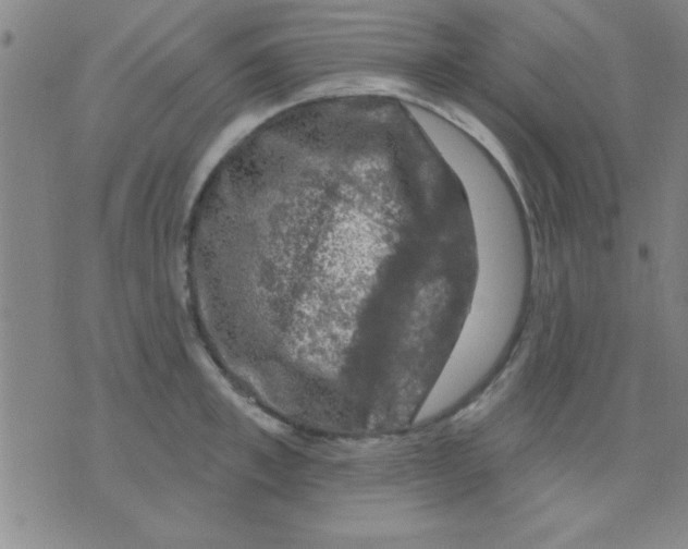 X0000075900997200610151811