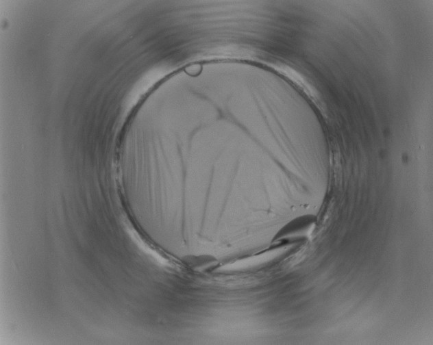 X0000075900998200610151811