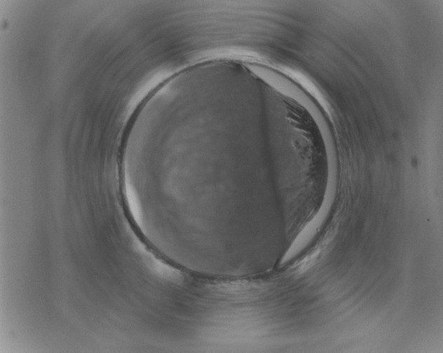 X0000075900999200610151811