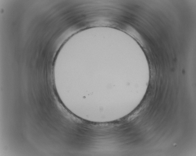 X0000075901000200610151811