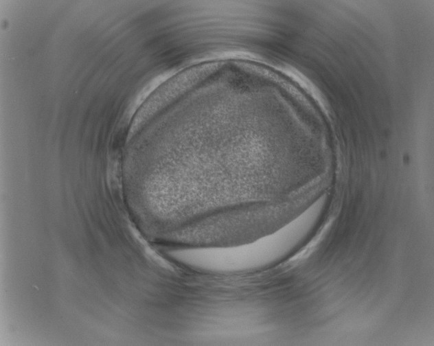 X0000075901001200610151811